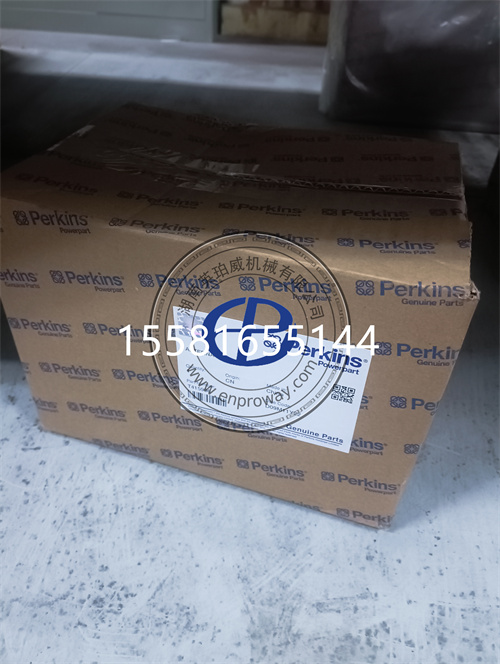 帕金斯404發(fā)動機交流發(fā)電機T415996：發(fā)電領域的可靠多面手
