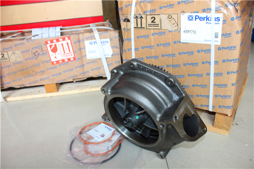 Perkins4008柴油發(fā)動(dòng)機(jī)威爾遜P1100E1柴油發(fā)電機(jī)配件SE145BK水泵